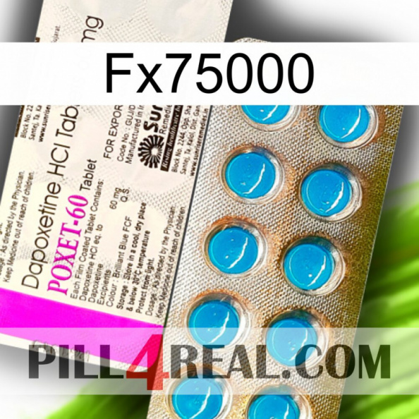 Fx75000 new07